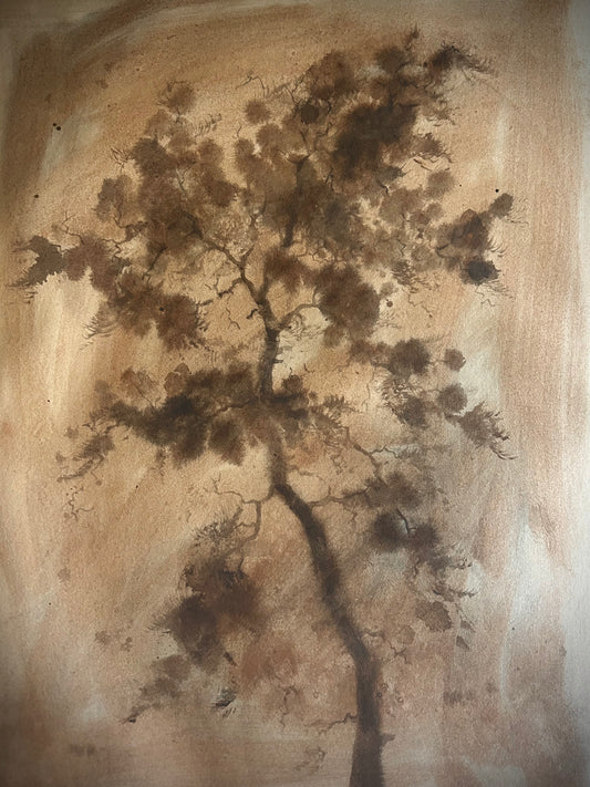 Antique Cypress II