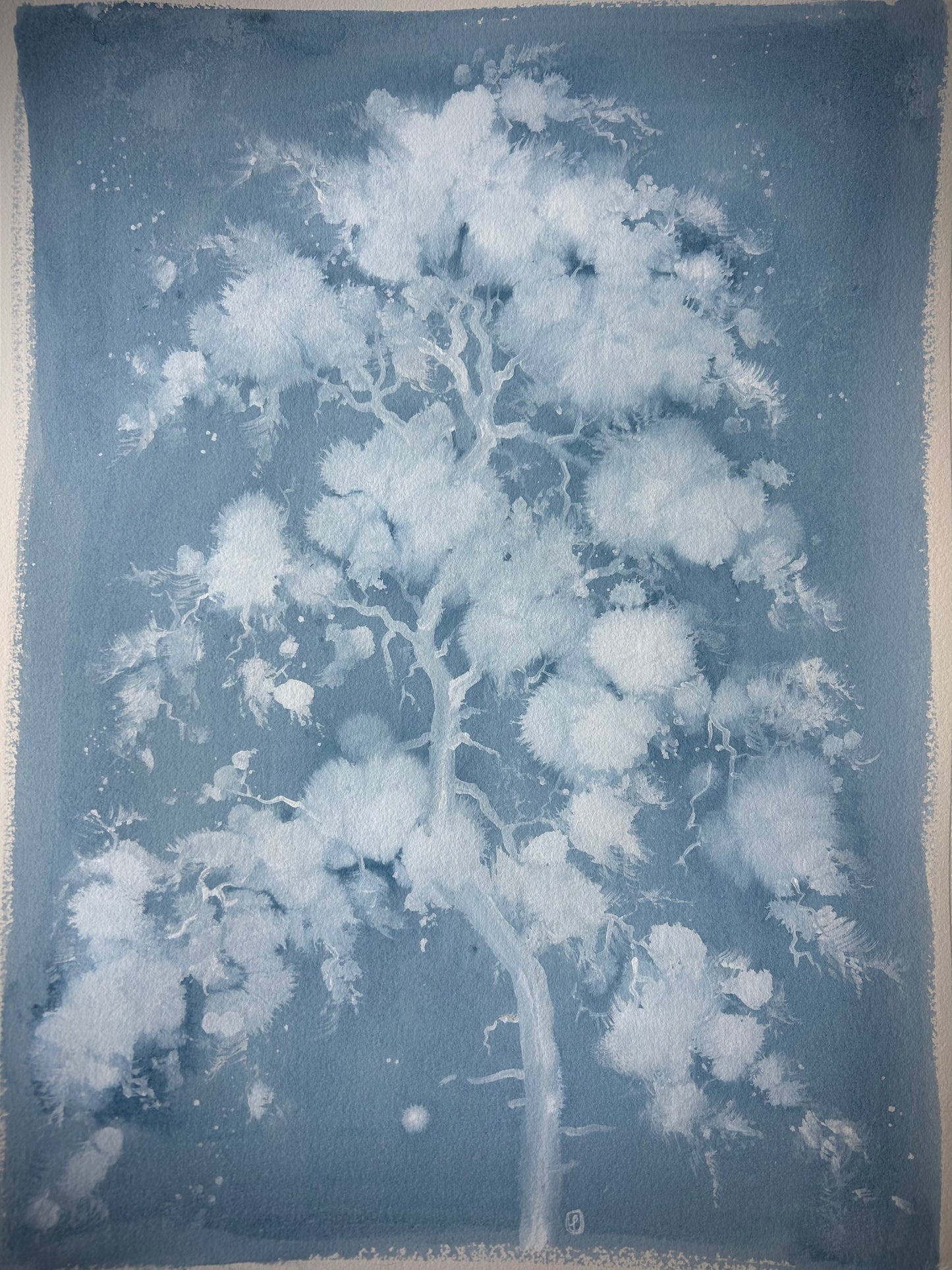 Cloud Pine