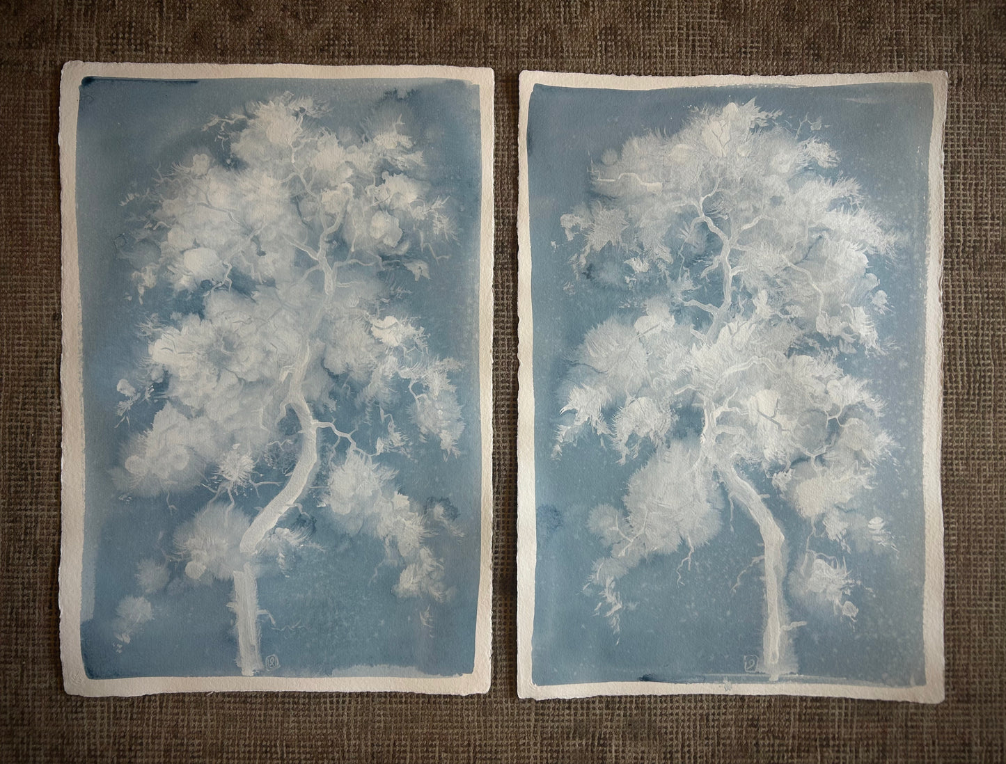 Cloudtree I
