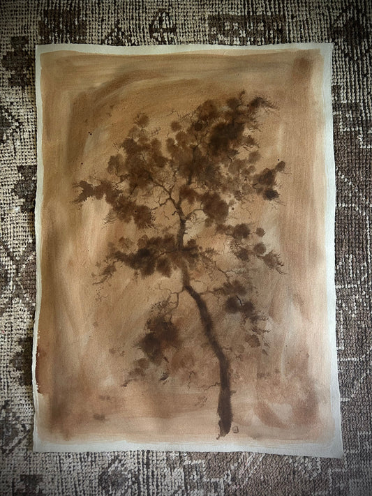 Antique Cypress II