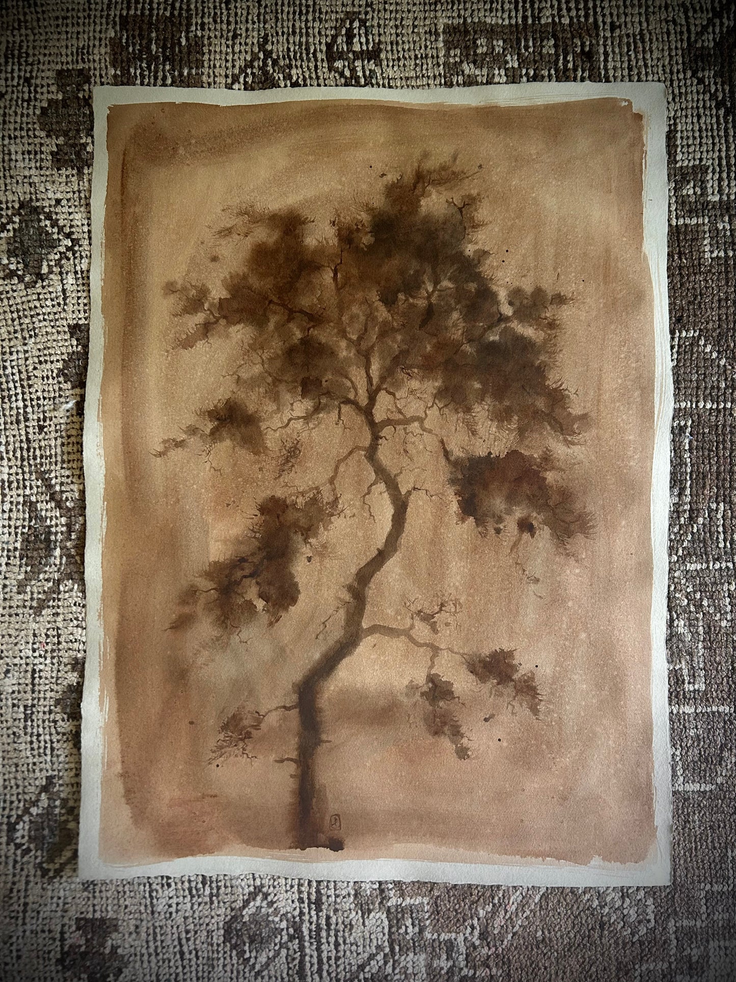 Antique Cypress I