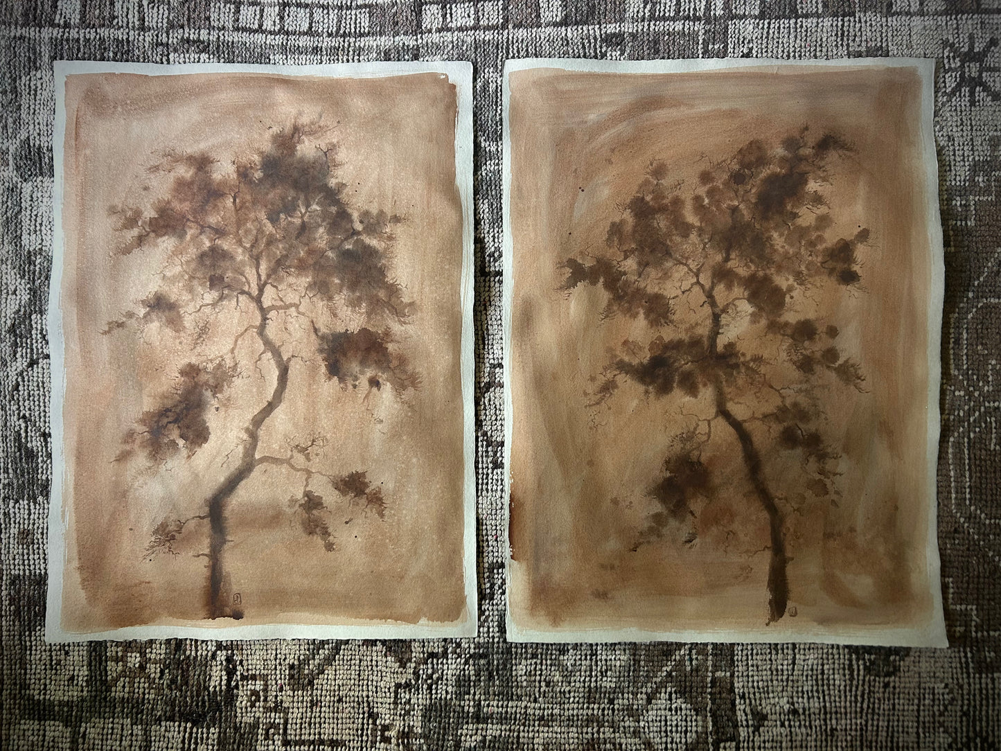 Antique Cypress I