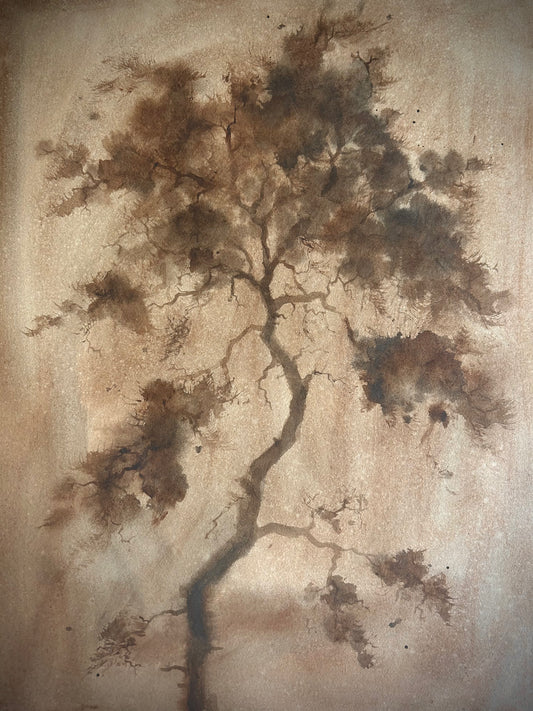 Antique Cypress I