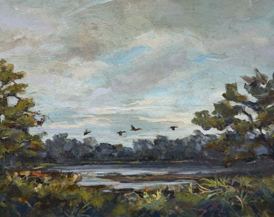 "Backwater Pintails"