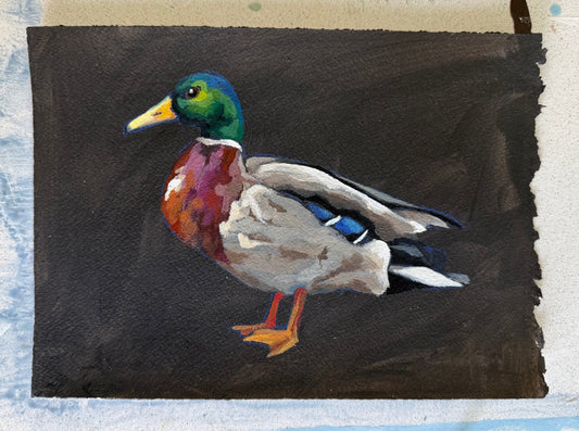 12x16 Bobby Mallard Duck