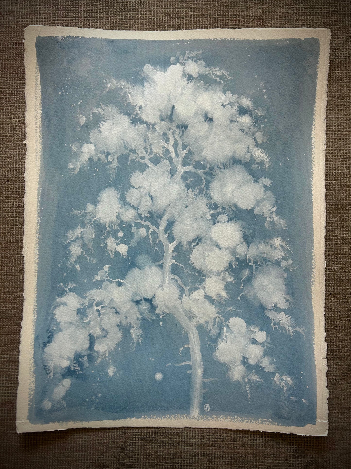 Cloud Pine
