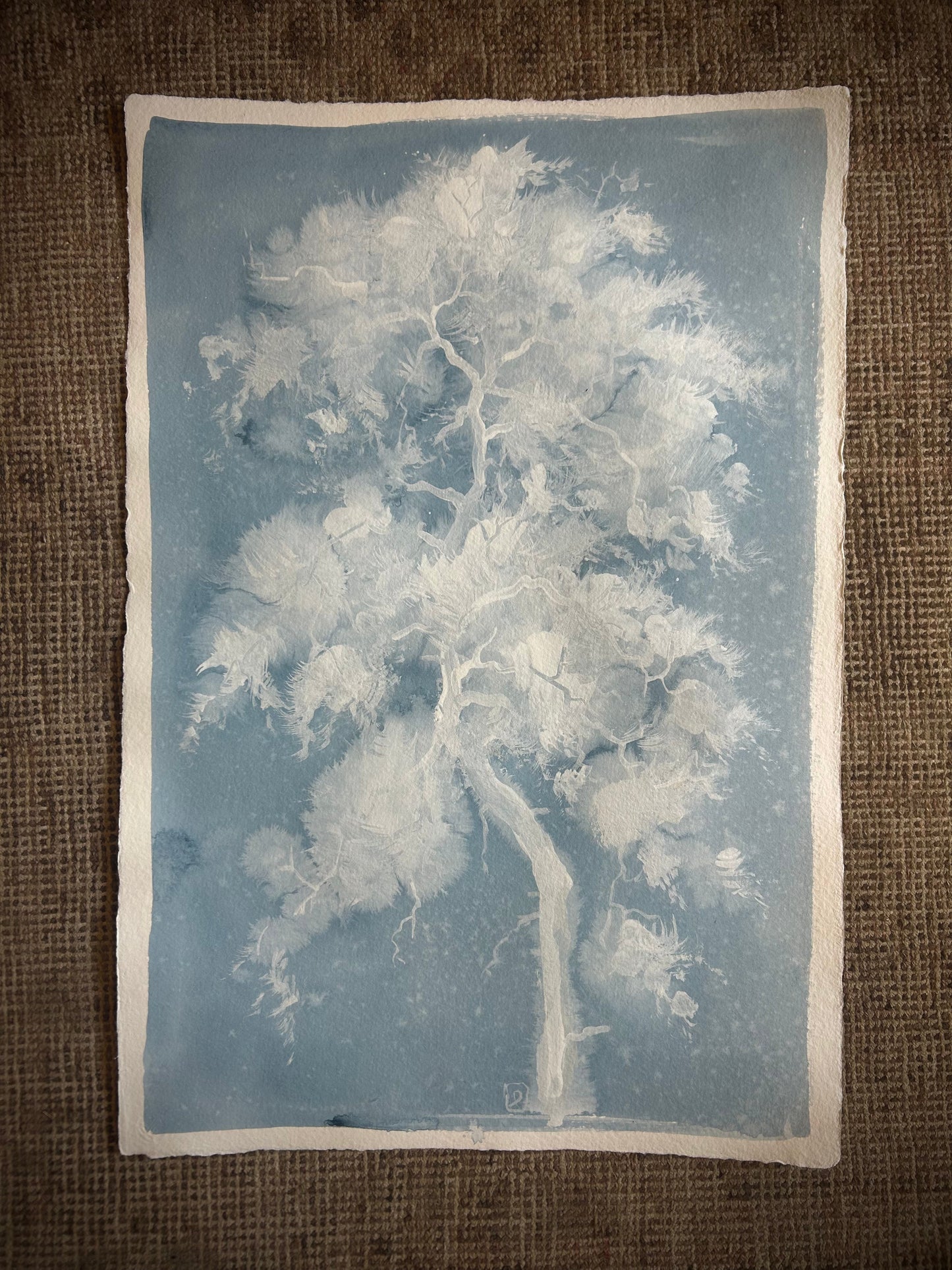 Cloudtree II