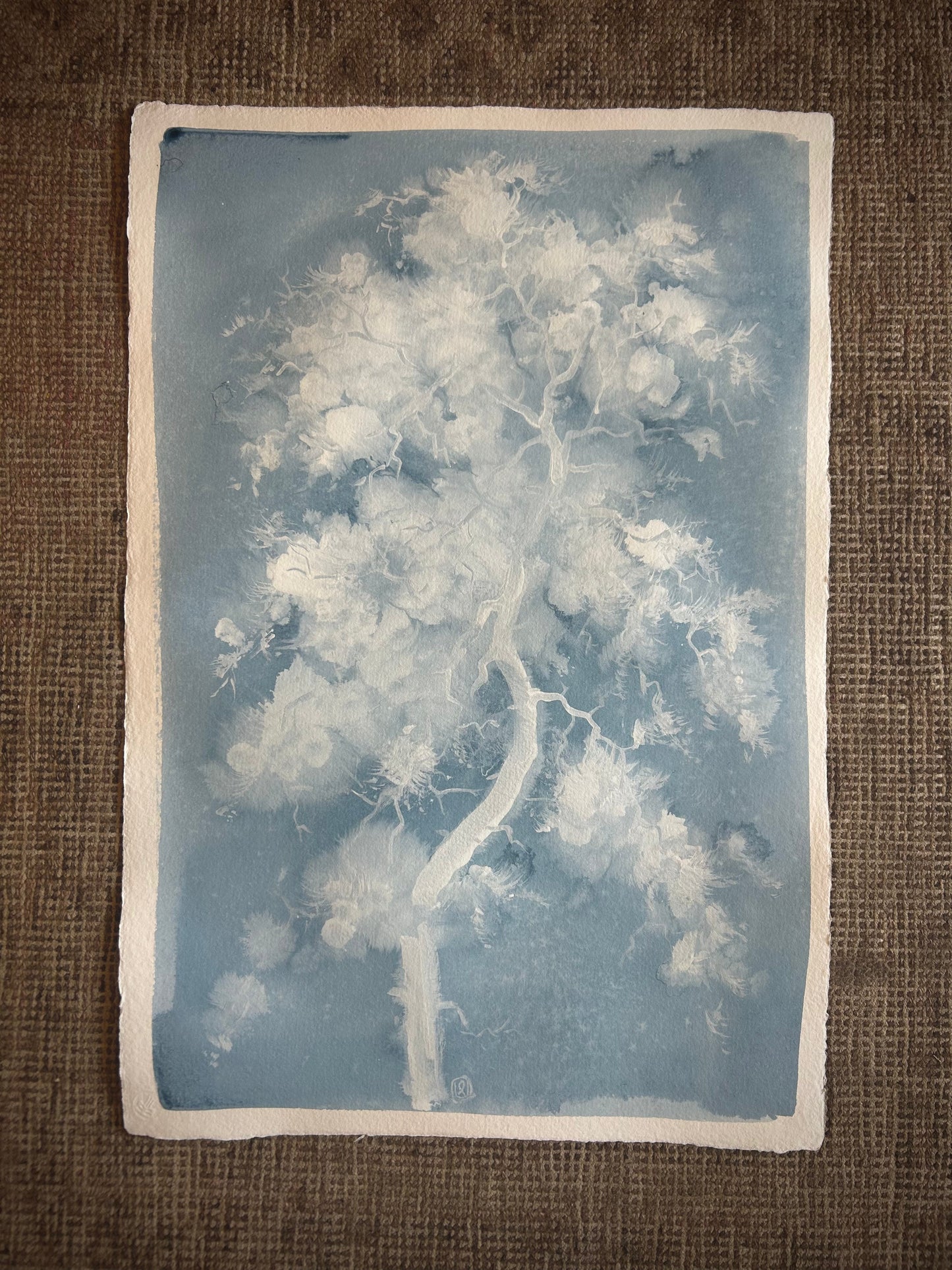 Cloudtree I