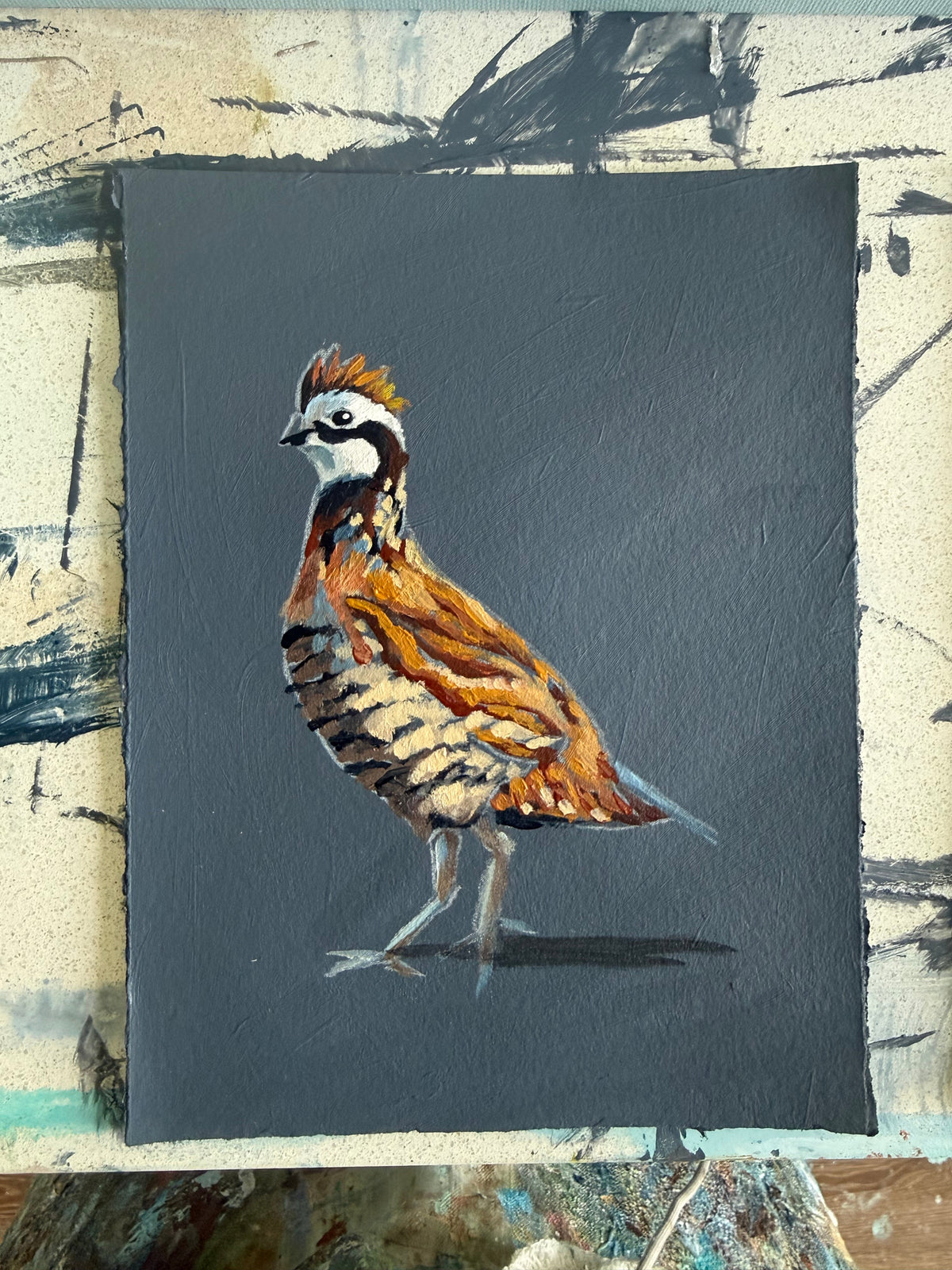 12x10 Greta