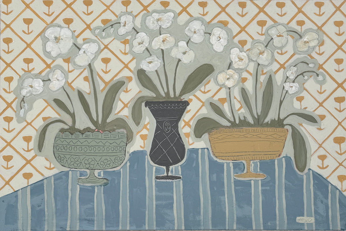 Orchid Trio on Tabletop
