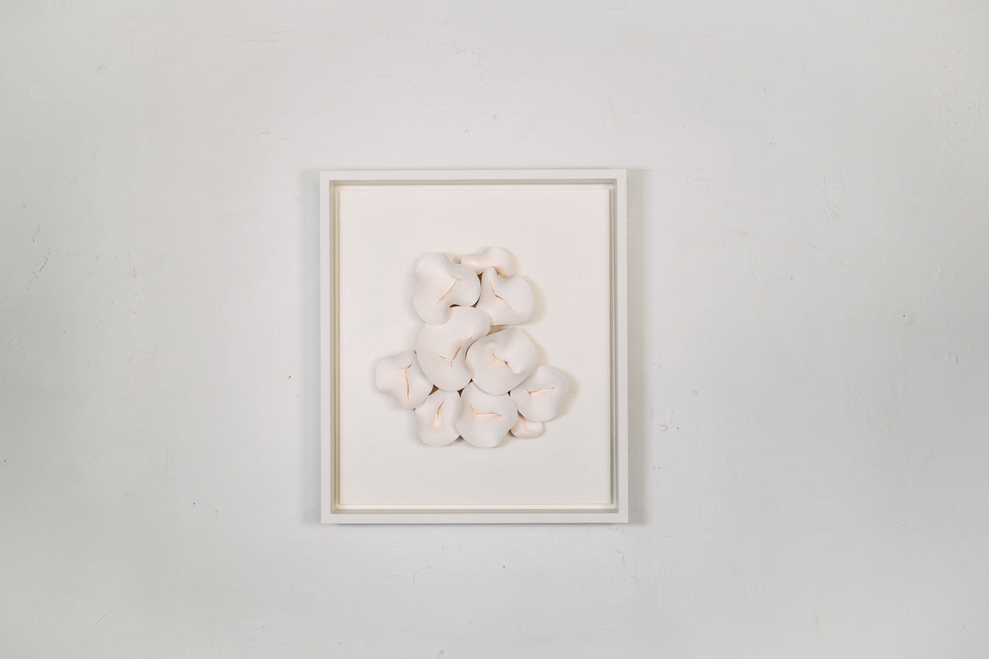 Chrysalis in Ivory I